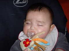 DSC02243.JPG