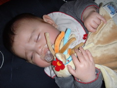 DSC02244.JPG